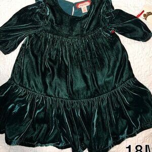 Green velour dress! NWT